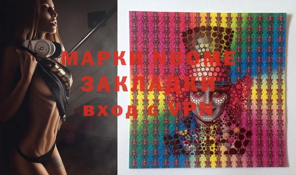 индика Новодвинск