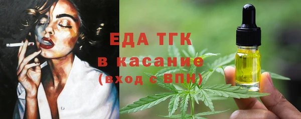 индика Новодвинск