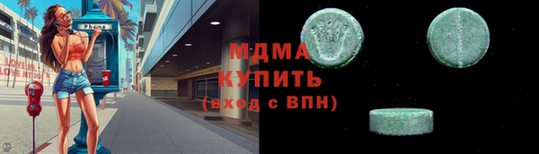индика Новодвинск