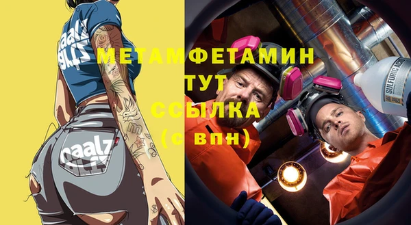 индика Новодвинск