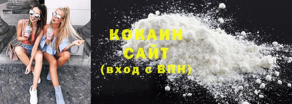 индика Новодвинск