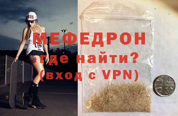 индика Новодвинск