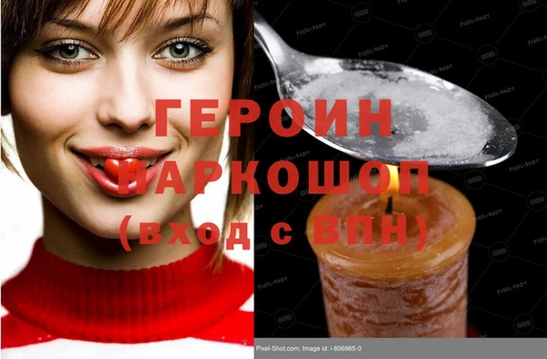 индика Новодвинск