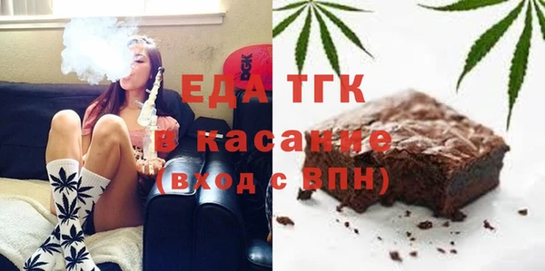 индика Новодвинск