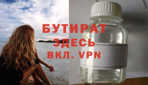 индика Новодвинск