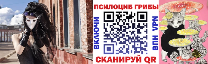 Псилоцибиновые грибы мицелий Губкинский