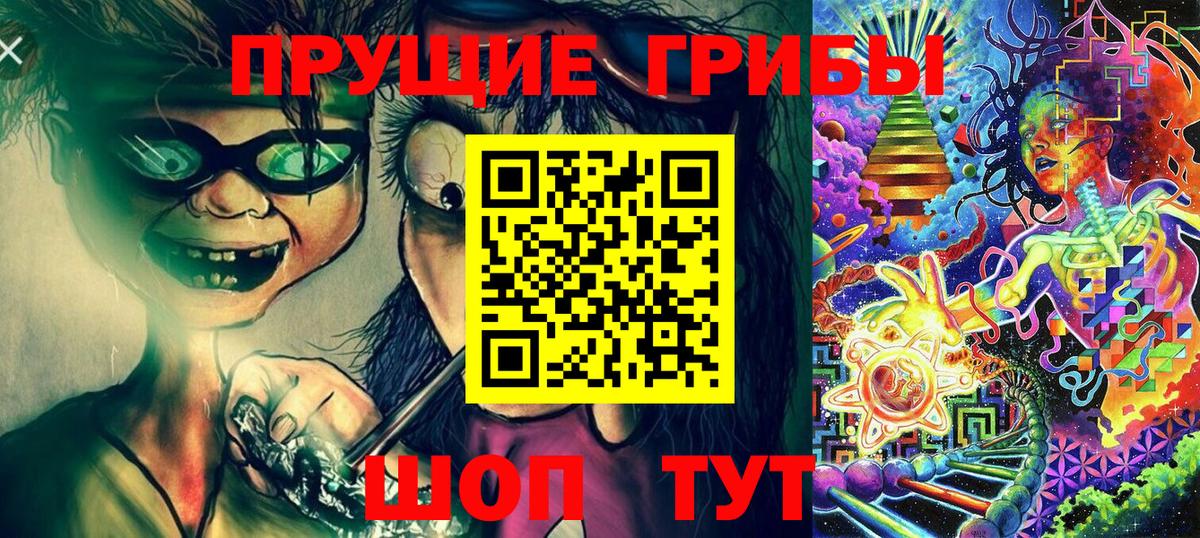 Галлюциногенные грибы прущие грибы  Вход с VPN  Губкинский 