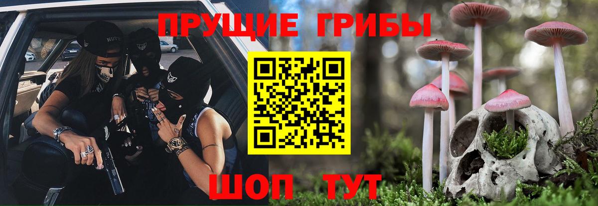 Галлюциногенные грибы ЛСД  дарнет шоп  Губкинский 